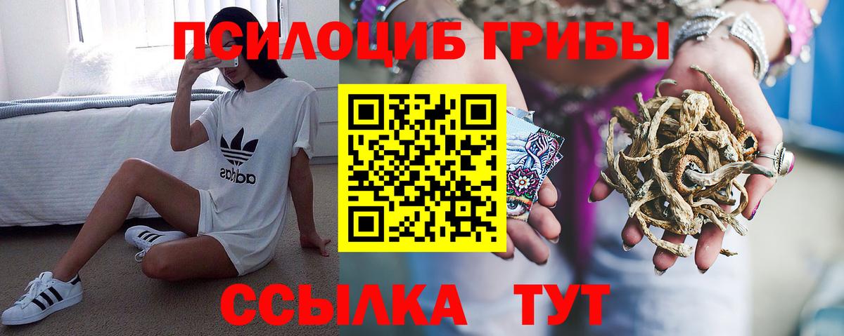 Ставрополь  цены   Вход с VPN  Псилоцибиновые грибы прущие грибы 